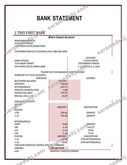 Nigeria First Bank statement Word and PDF template